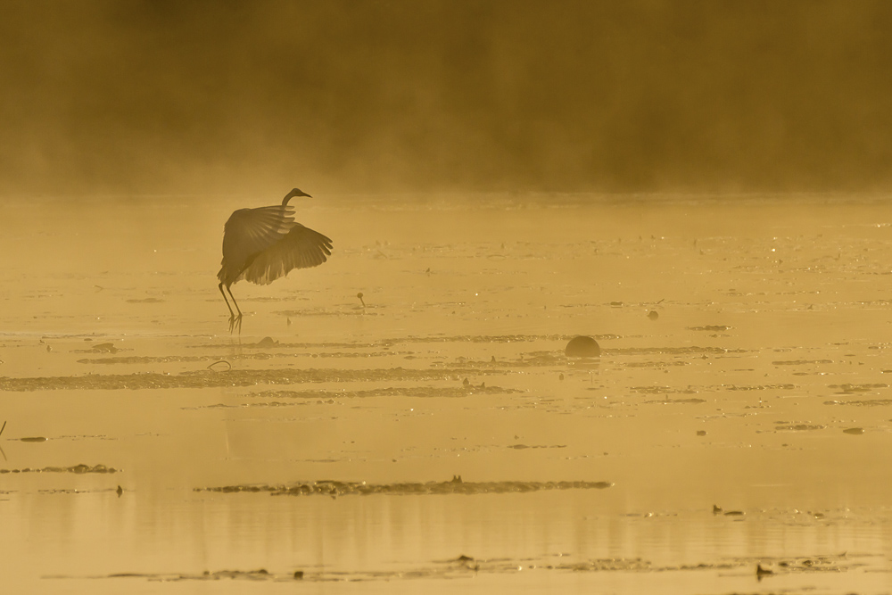 7. Platz Günter Bollenbacher